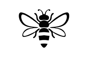 Bee Removal in rohini