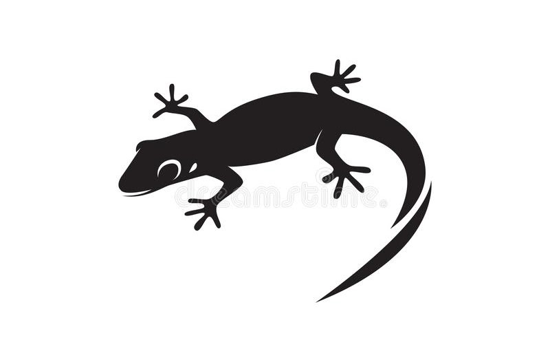 lizard control in rohini