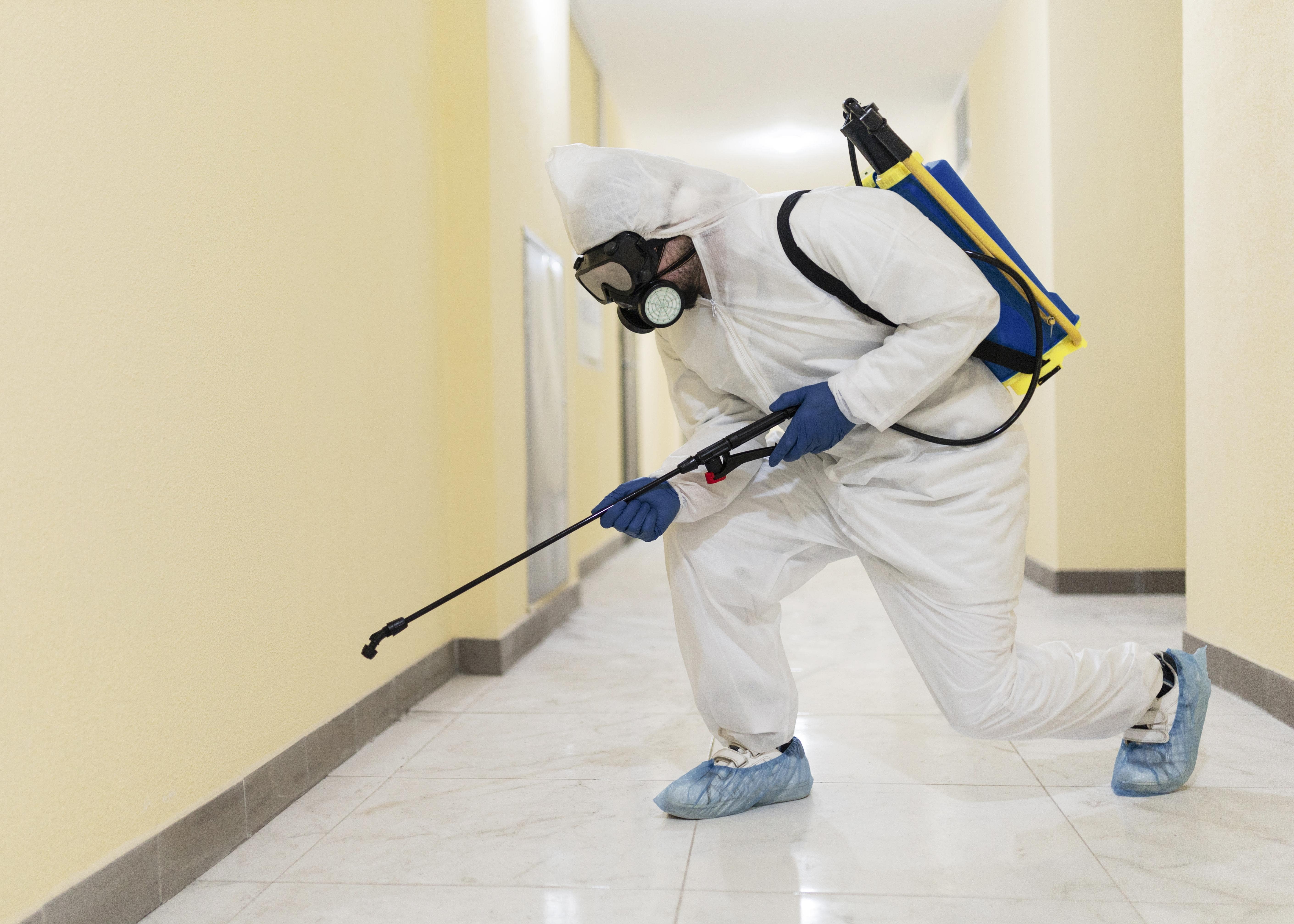 pest control rohini
